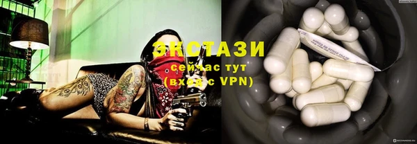 гидра Горняк