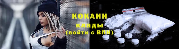 первитин Гусев