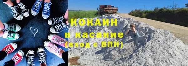 гидра Горняк