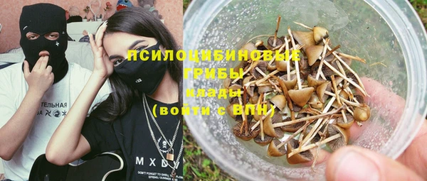 гидра Горняк
