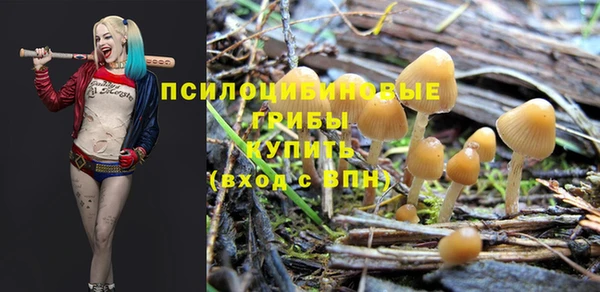 MDMA Premium VHQ Горнозаводск