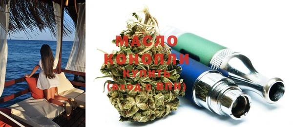 гидра Горняк
