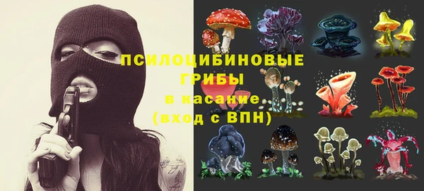 стаф Горно-Алтайск