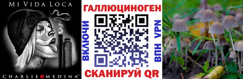 Псилоцибиновые грибы Magic Shrooms  Майкоп 