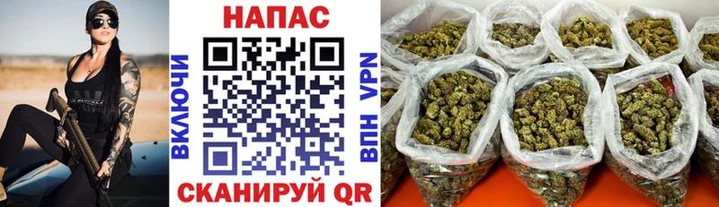 кракен рабочий сайт  Майкоп  Бошки Шишки White Widow 